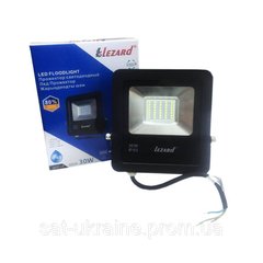 Прожектор Lezard LED 30W 6500K IP65